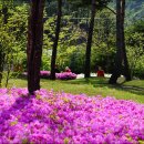 백야김좌진생가기념관 이미지