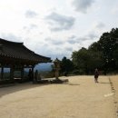 여주-0526 이미지