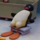 다함께투어 이미지