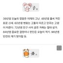 마니보는 띠별 내일의 운세 (11월2일) 이미지