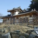 경포19호 | 예천 선몽대, 노송 울창한 내성천 주변 경승지