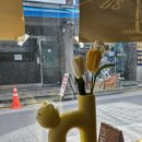 까누 | 쌍문역 카페 추천 까눌레 맛집 까누