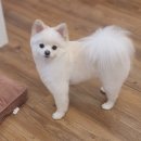 오늘도 너에개 이미지