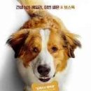 베일리