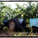 한빈농장 이미지