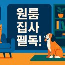 판화를 활용한 나만의 LED 쿠션 만들기 | 원룸 집사 필독! 반려동물과 함께 사는 펫테리어 공간 활용 꿀팁 A to Z