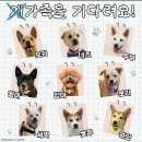 한아름 쉼터 이미지