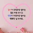 비단향꽃무 이미지