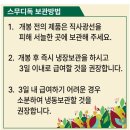 개엄마 | 노견 식단 고민 끝에 선택한 스무디독 후기▼・ᴥ・▼ 개엄마들의 잡화점 내돈내산
