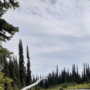 Balsam Lake, Mount Revelstoke National Park 이미지