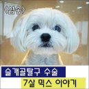 삼송사랑 동물의료센터 이미지