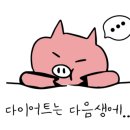 박대박맛집 이미지