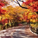 한글비석길 이미지