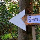 동백해돋이펜션 이미지