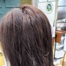 헤븐헤어 - 영암군 | 헤븐헤어