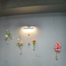 콩가듀에 이미지