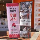 여수삼합빵 | 여수 이순신광장 먹거리 추천 딸기모찌 맛집 삼합당 방문 후기(삼합빵, 과일모찌)