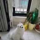 오장노래방 이미지