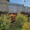 곽지머물다 이미지