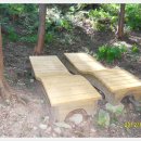 두동편백마을 이미지