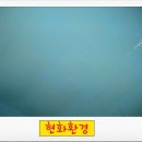 현화환경 이미지