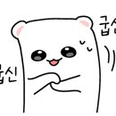 아라한샵