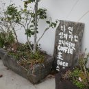 춘희목장 이미지