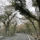 뜨레향 | 4월의 제주 *1(뜨레향펜션,처가집연탄구이)