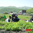 성주면사무소 이미지