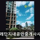 뉴포레(단지내)공인중개사사무소 네이버블로그