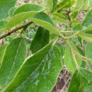 바산농장 이미지