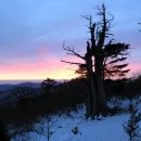 상동읍 칠량이골 5(상동읍-12) | ◈2005년 2월 15일◈ 태백산(1566.7m 강원도 태백,경북 봉화)