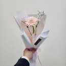 꽃빛소리 이미지