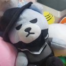 순종호