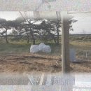 비산당구장 - 안양시 동안구 동안로 300 | 비산당구장