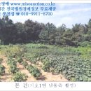 내곡동443 이미지