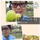 준선 이미지