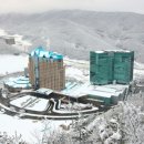 우리신도판매 이미지