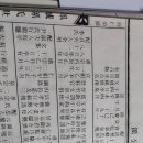 손씨