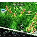 맹종죽테마공원 이미지