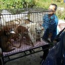 연희농장 이미지