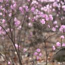 아름따다 이미지