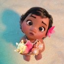 모아나(moana) 이미지