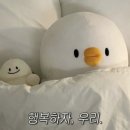 후담 | w. 스냅&DVDㅣ광주•목포•남악•대전 아이폰스냅 <일비스냅/ilby snap> 계약 후기, 할인코드 공유✨