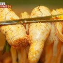 칼국수먹는날 이미지