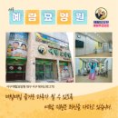 예람재활요양원 이미지