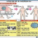 4월 25일 오늘의 역사 | 김유신 이미지