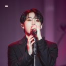 플레로마 이미지