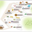 하기숲 캠핑장 이미지