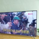 6501 | 65인치 이노스 QLED S6501KU TV구매후기